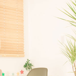 ZEH目標公表資料